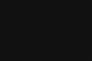 Northern Saw-whet Owl